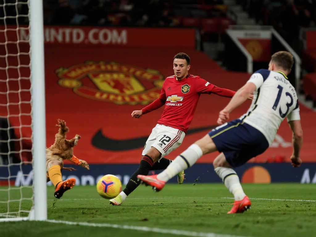 为自己赢得 为自己赢得